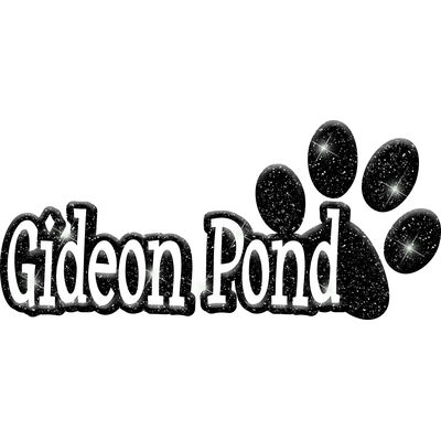 GLT17 BLACK GLITTER Thumbnail